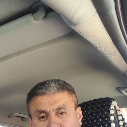 , 53, 