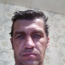 , 48, 