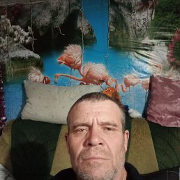 , 45 , 
