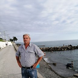 , 56 , 