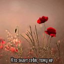 ���� ����, ����� - ��������� 5 ��� 2026 � ������ ������ ��������
