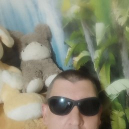 , 44, 