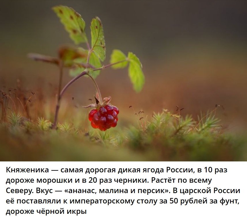   - 18  2025  17:55