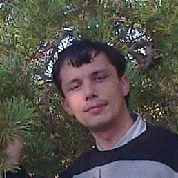 �����, ��������, 41 ���