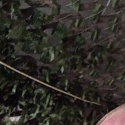 , 40 , 