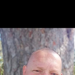 , 45, -