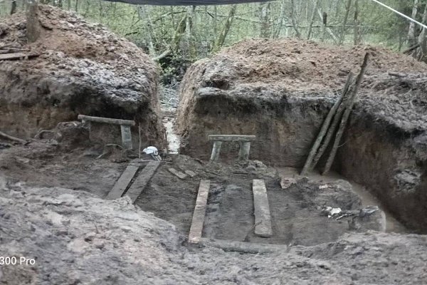 В Ленобласти, в Тосненском районе, обнаружено массовое захоронение жертв фашистских карателей. ... - 3