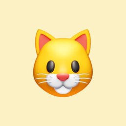 �������, ������, 47 ���