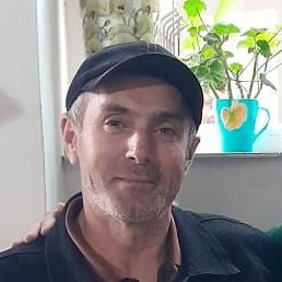 ����, ������, 40 ���