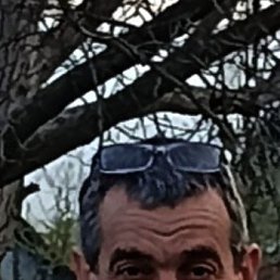 , 49, 