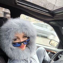 ����, �����-���������, 54 ����