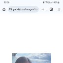 ���� �����, ������, 40 ��� - ��������� 28 ������ 2025 � ������ ���� ����������