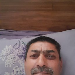 , 57, 
