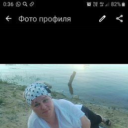, 48, 