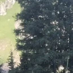 Mrl, ������, 42 ����