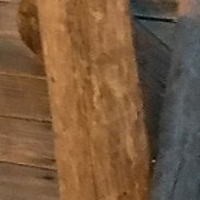 ������, 35 ���, ������