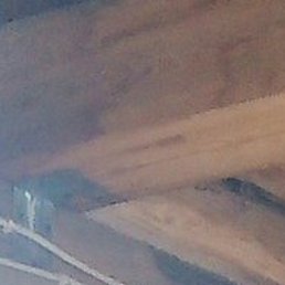 ������, ������, 50 ���