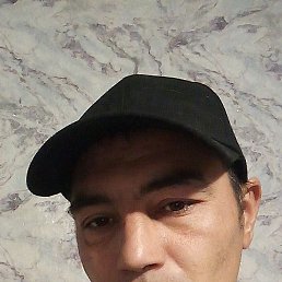 , 34, 