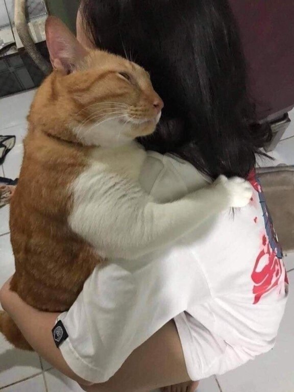   ,           . => - 2