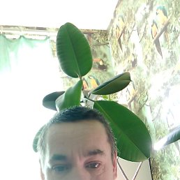 ���� ����, ���, 44 ���� - ��������� 18 ����� 2024