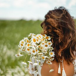 ���� ���, ������ - ��������� 17 ������� 2025