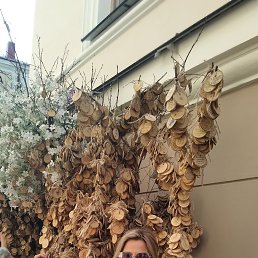 , 43 , 