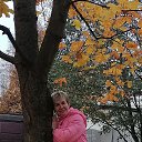  , -, 50  -  15  2025