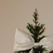 ������, 20 ���, ���