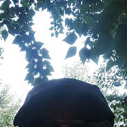 , 53 , 