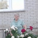 ���� ����, �������� - ��������� 25 ���� 2026 � ������ ���� ����������