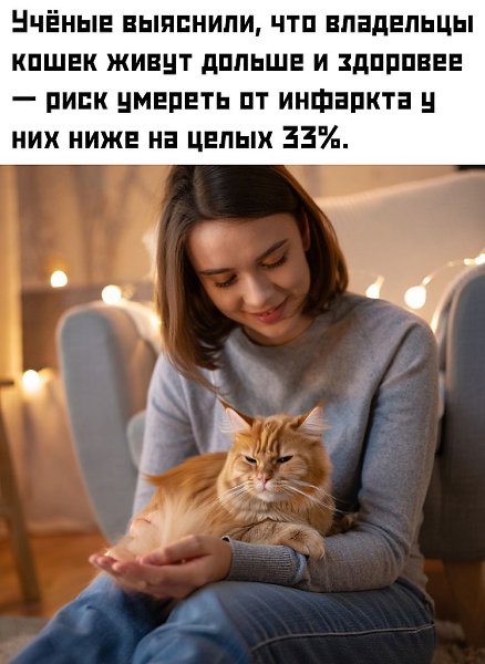 ������������ ������� ����� 20 ���: � ���, ��� ����� ��� � ���������, ����������� �� ����������� ... - 2