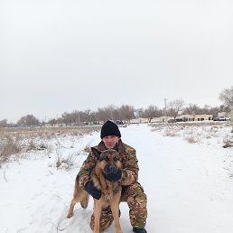 ������, 41 ���, ���������