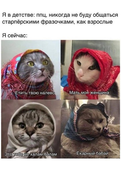   - 14  2024  08:42