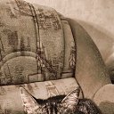  , -, 56  -  14  2025    