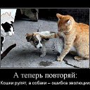 ���� ���������, �������, 52 ���� - ��������� 24 ���� 2026 � ������ ������ ��������