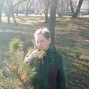 ���� ������, ���������, 64 ���� - ��������� 25 ����� 2026