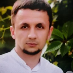 ������, 41 ���, �����