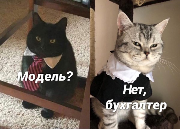 ) - 2