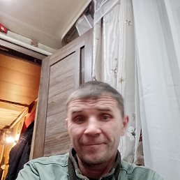 , 42, 