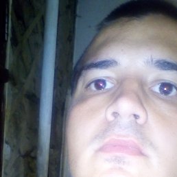, 26, 