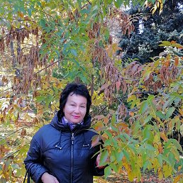 ���� ����, ������-��-����, 64 ���� - ��������� 6 ������ 2025