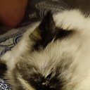 ���� �������, ����, 51 ��� - ��������� 27 ������� 2023