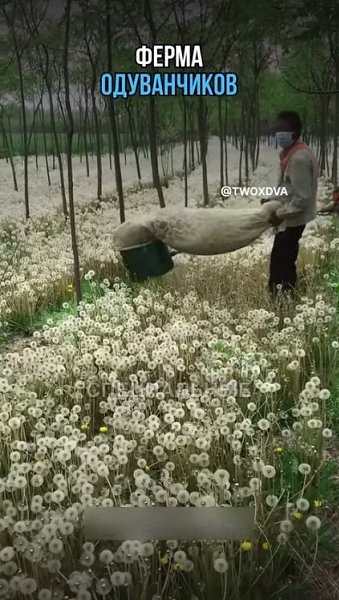 �� ��������� ������ ����������� ����� �������� ����� 10� ���! ������ �� ������ ��� �������� �� ����. - 2