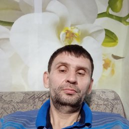 , 41, 