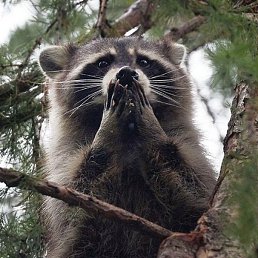 Bmv, ��������, 59 ���