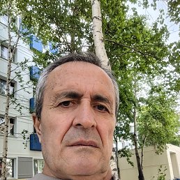 , 61 , 