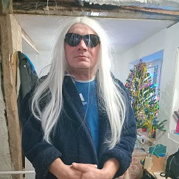 �������, 41 ���, ���������