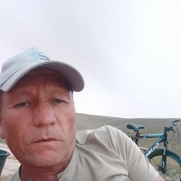 , 53, 