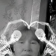 , 43 , 
