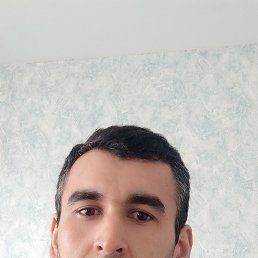 , 33, 